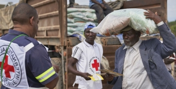 Em Moçambique, mais de 40 mil pessoas receberam sementes para ajudar na reconstrução das suas vidas